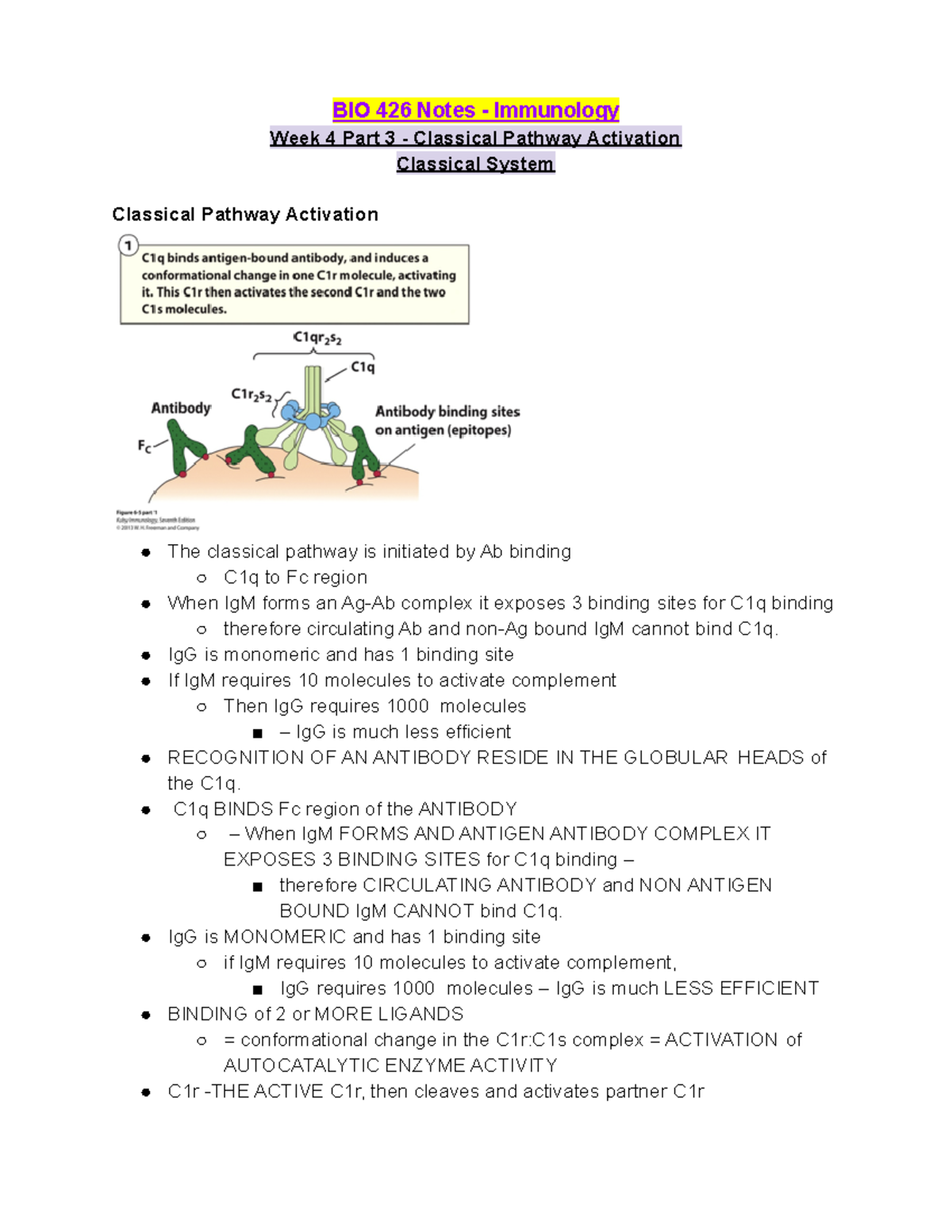 BIO 426 Week 4 Lecture Part 3 - Classical Pathway Activation - BIO 426 ...