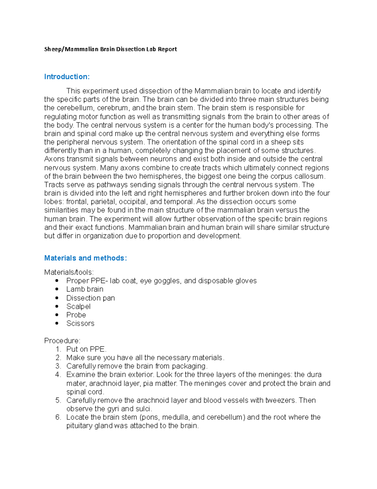 lab-report-1-lab-sheep-mammalian-brain-dissection-lab-report-introduction-this-experiment