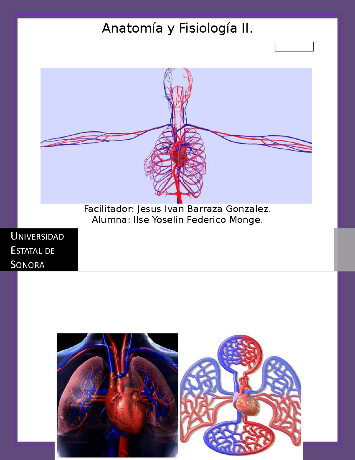 Aparato Circulatorio - Principios De Anatomía Y Fisiología, 13va ...