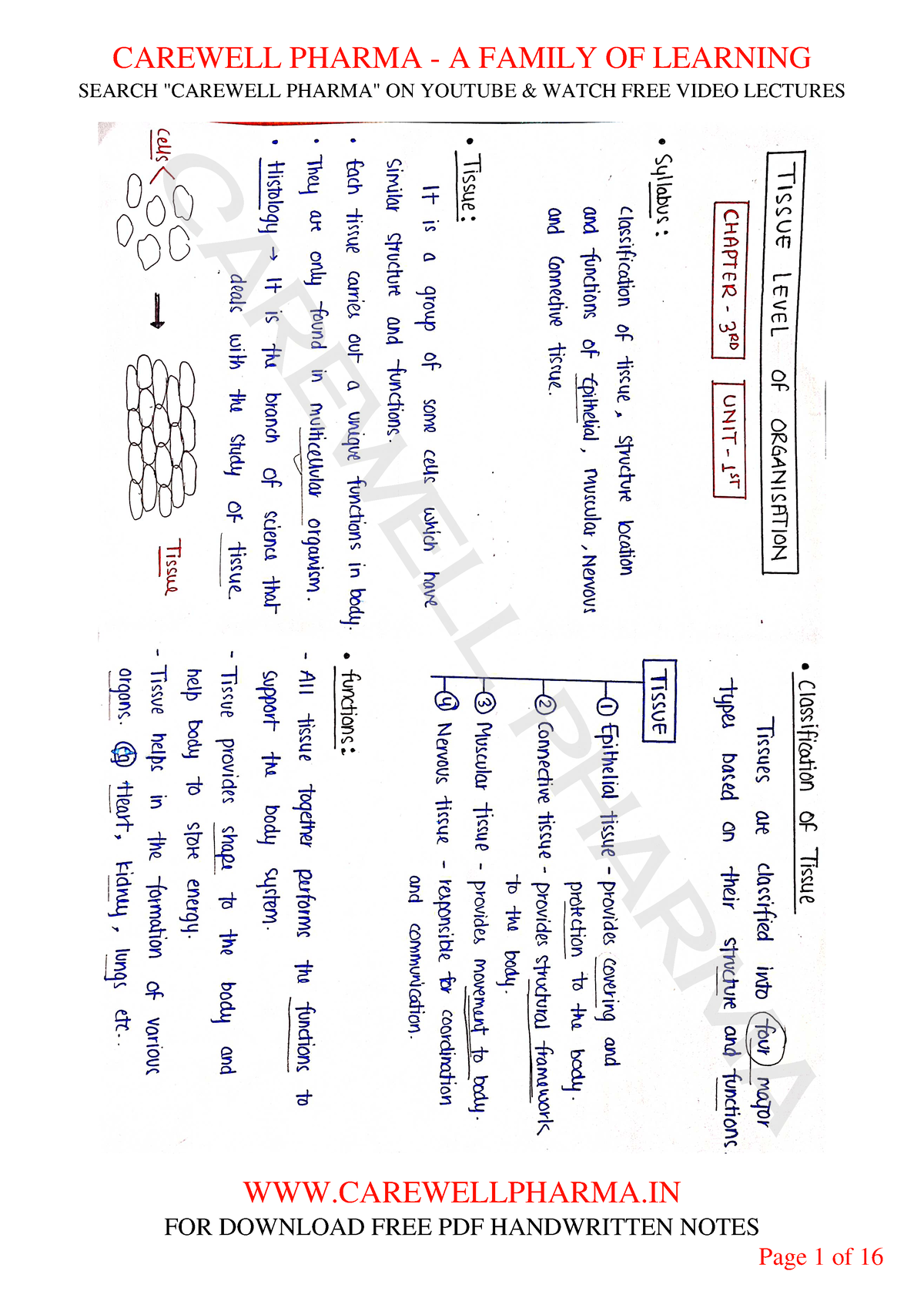 Chapter 3, Unit 1, Human Anatomy And Physiology 1, B Pharmacy 1st Sem ...