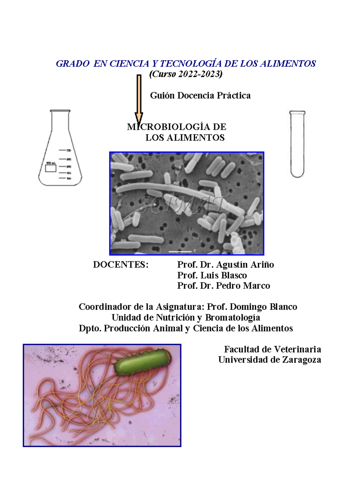 Protocolo de Prácticas Microbiología de los alimentos 2022-23 - GRADO ...