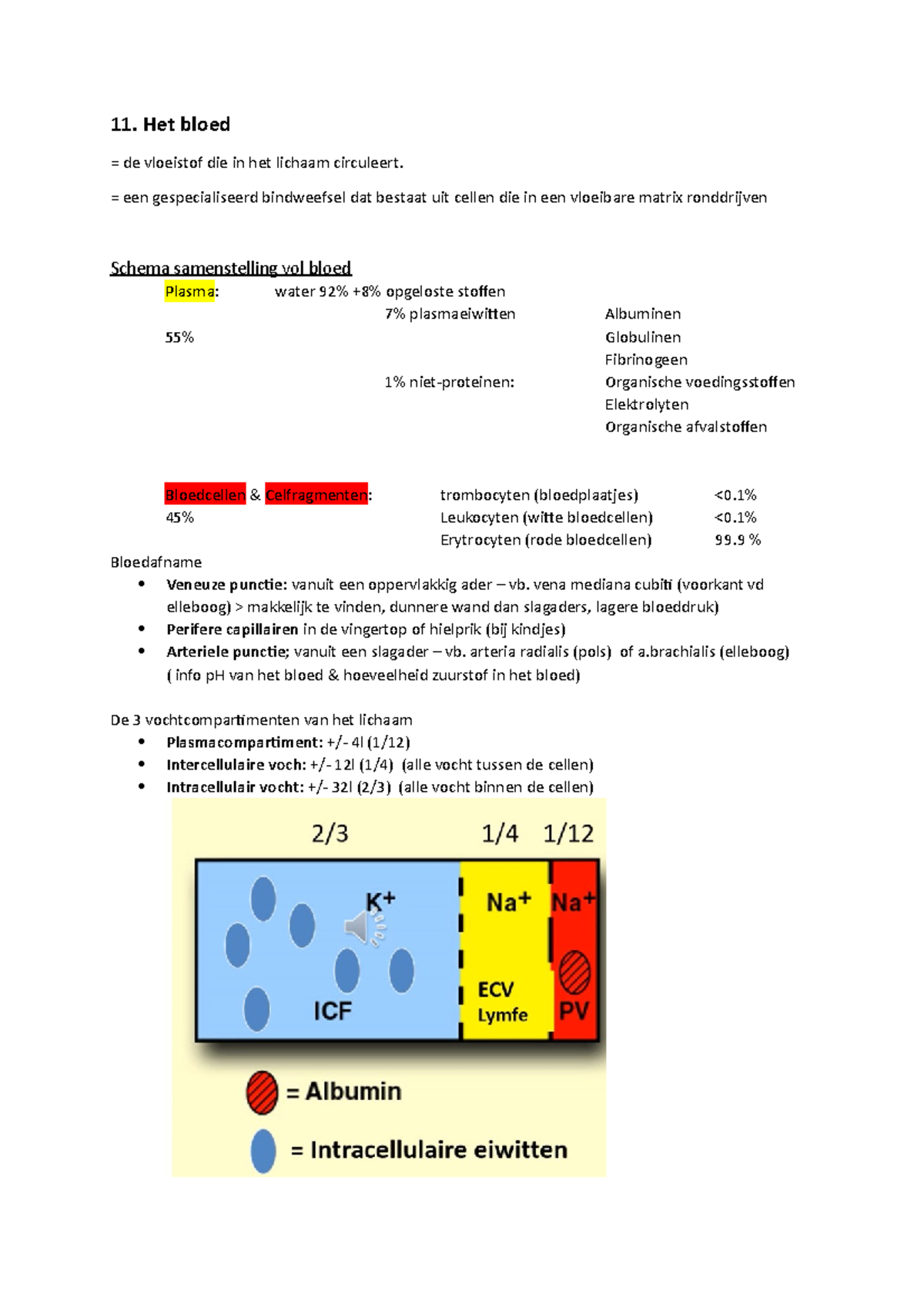 Het Bloed - Samenvatting - 11. Het Bloed = De Vloeistof Die In Het ...