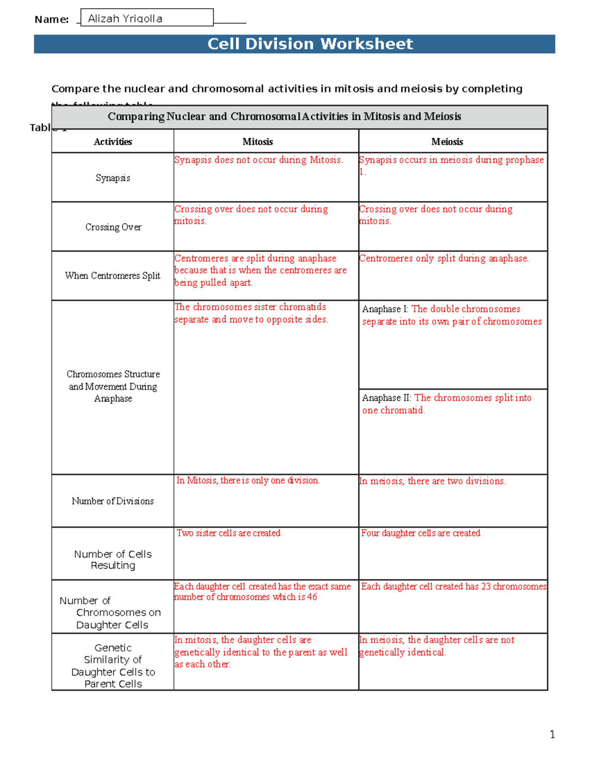 Mitosis Vs Meiosis Worksheet Answers