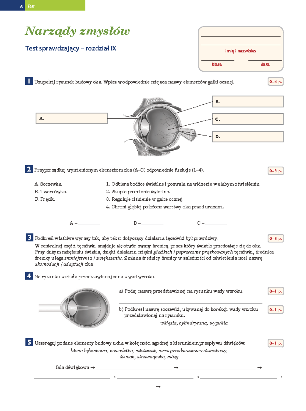 Narządy Zmysłów Sprawdzian Klasa 8