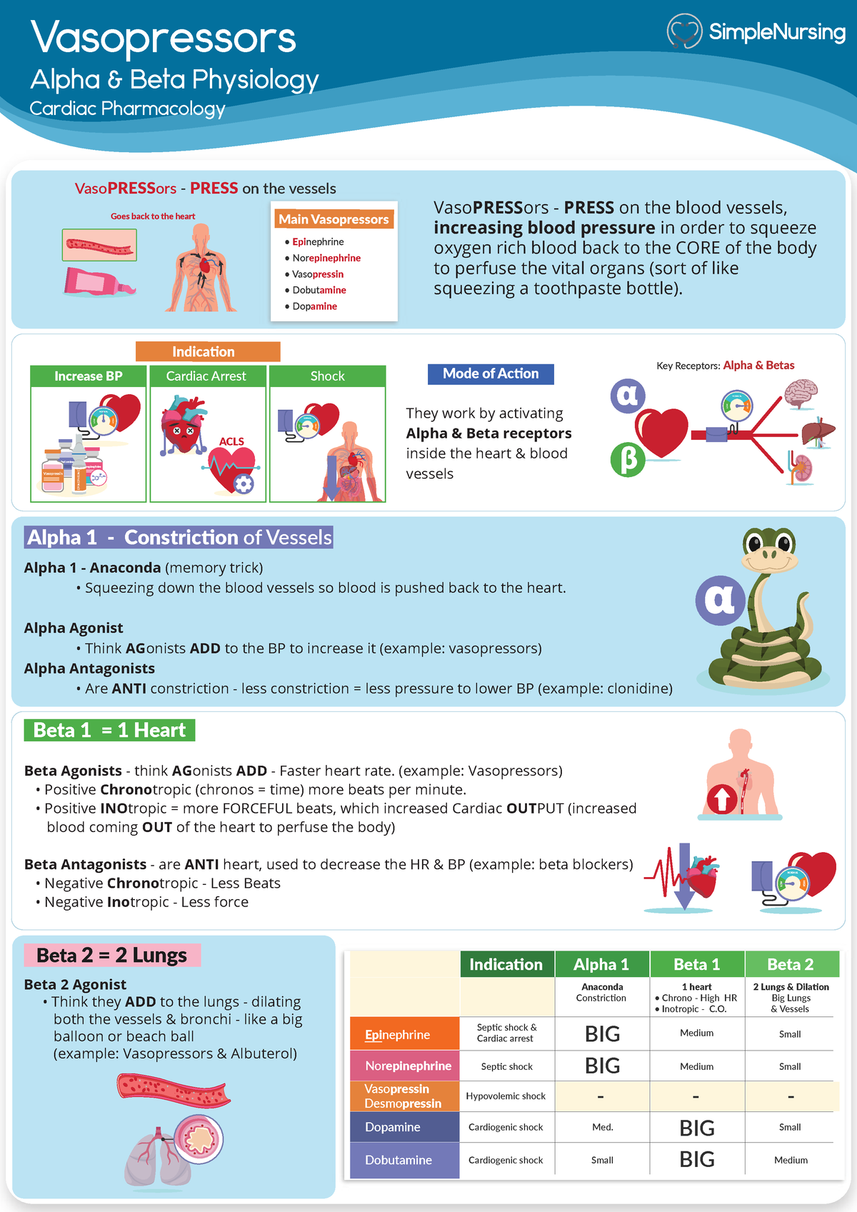 1. Vasopressors Drugs - Vasopressors Alpha & Beta Physiology Cardiac ...