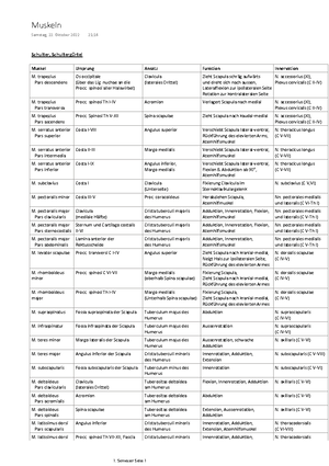 Pathoraster OST Vorlage - Bildungsdepartement Ostschweizer ...