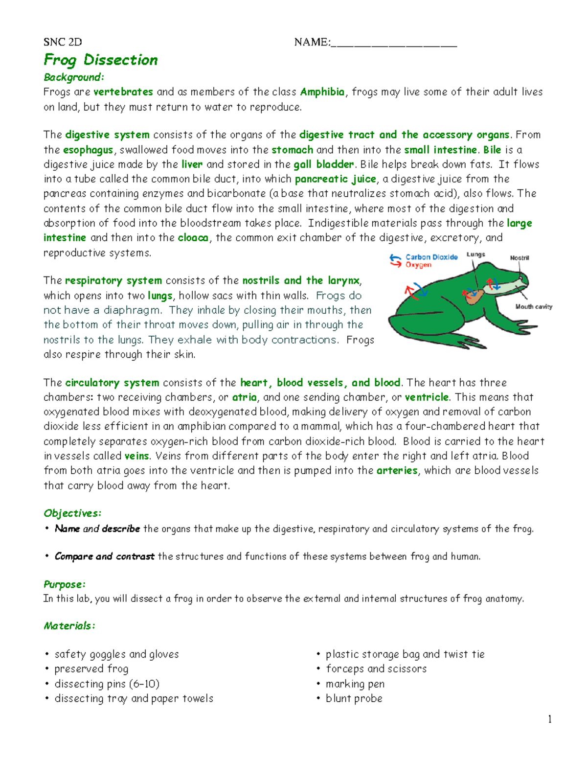 2. Frog Dissection Guide Frog Dissection Background Frogs are