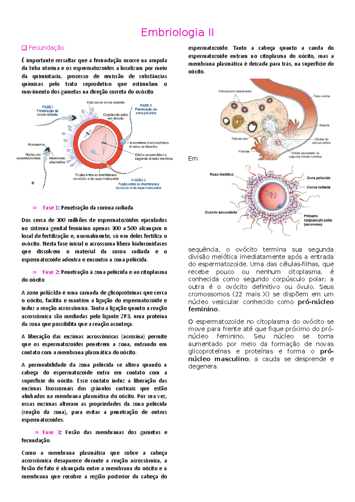 2 Embriologia II - Fecundação - Embriologia II Fecundação É importante ...
