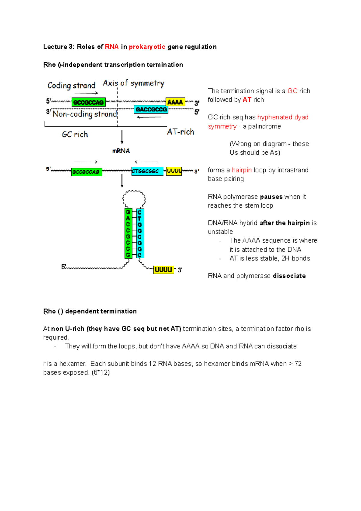 BIOL21101 Lecture 3 Lecture 3 Roles of RNA in prokaryotic gene