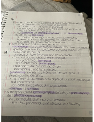 Nucleic+acid+notes++carb-lipid+review+honors - 1. Which polysaccharides ...