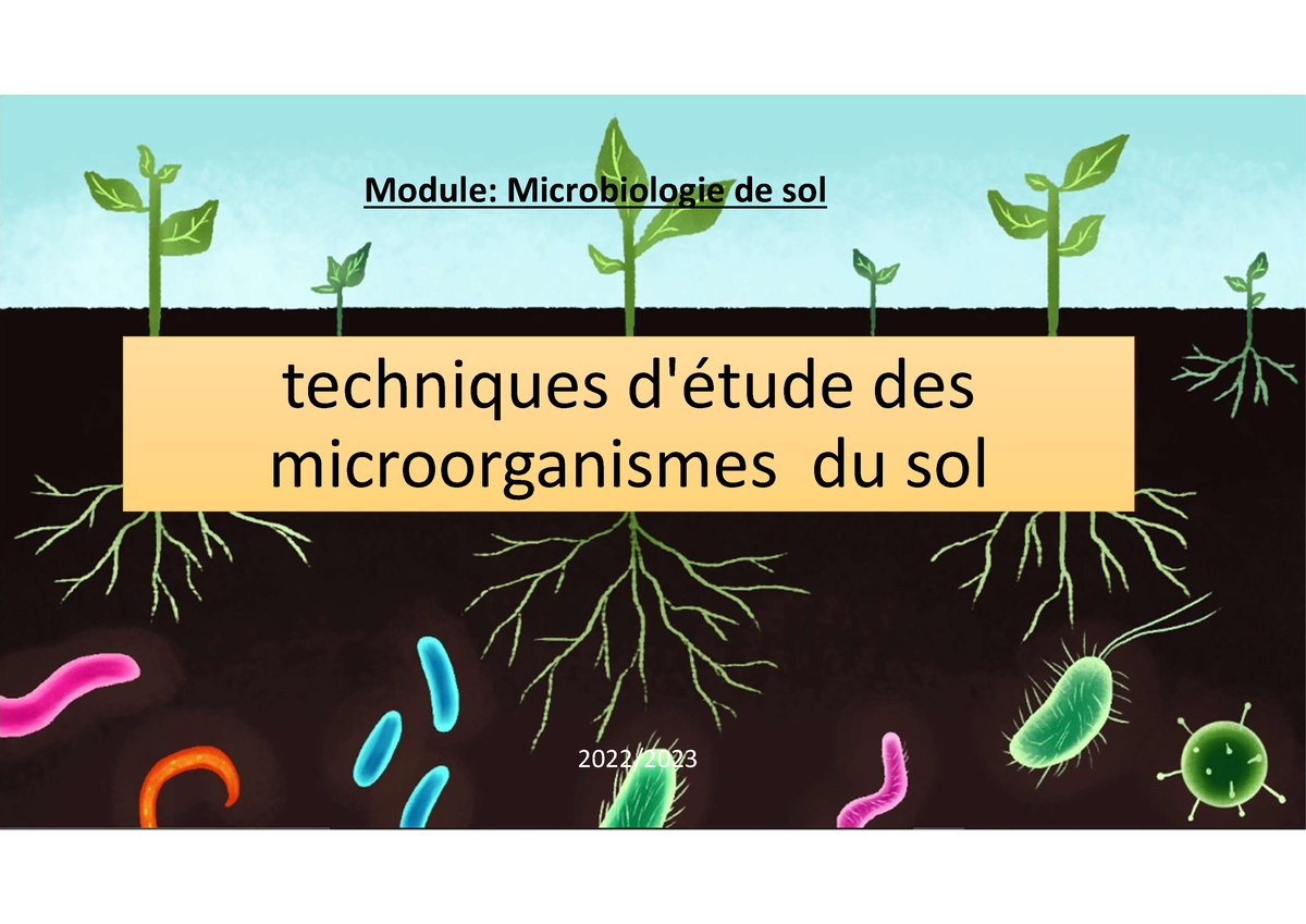 Techniques D'etudes Des Microorganismes Du Sol - Techniques D'étude Des ...