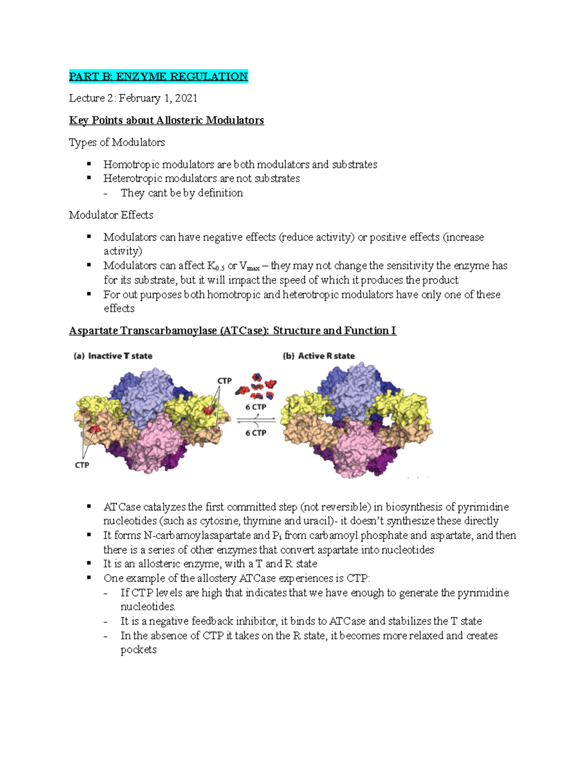 BIOC 3560 Part B Lecture 2 - PART B: ENZYME REGULATION Lecture 2 ...