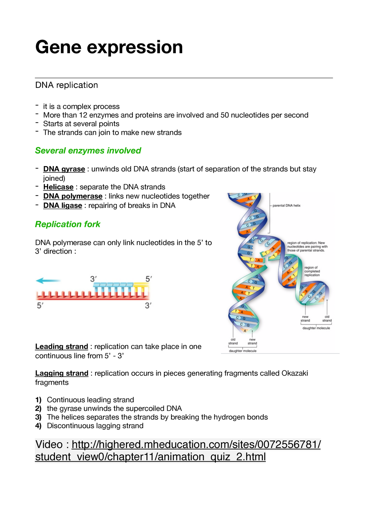 Gene expression Lecture notes 6 Gene expression DNA replication it