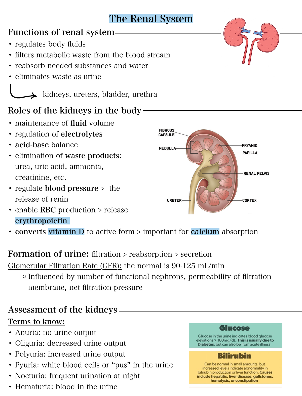 Anp 4 - Definitions Along With Notes That Outline The Anatomy Of The 