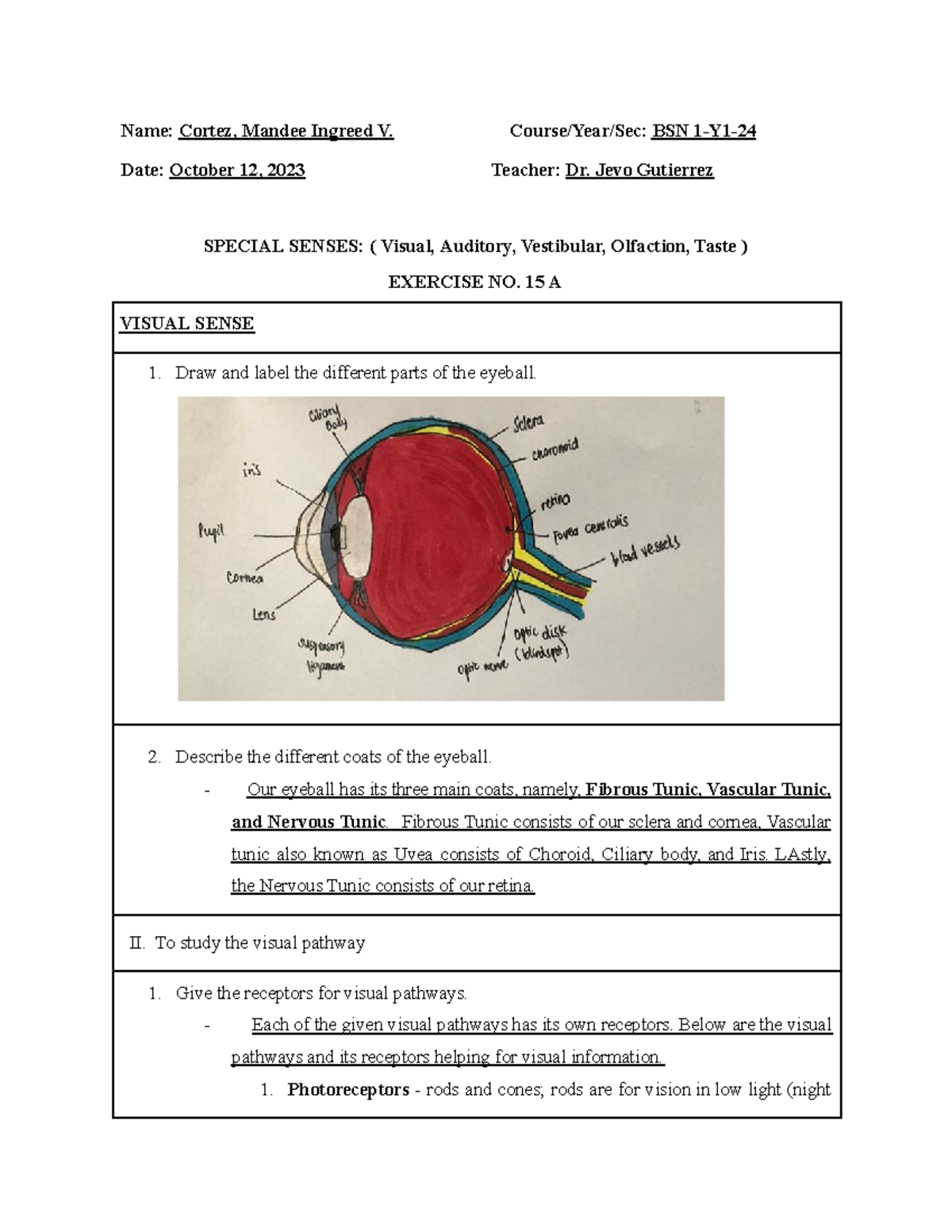 Special Senses LAB-exercise.docx - Name: Cortez, Mandee Ingreed V ...