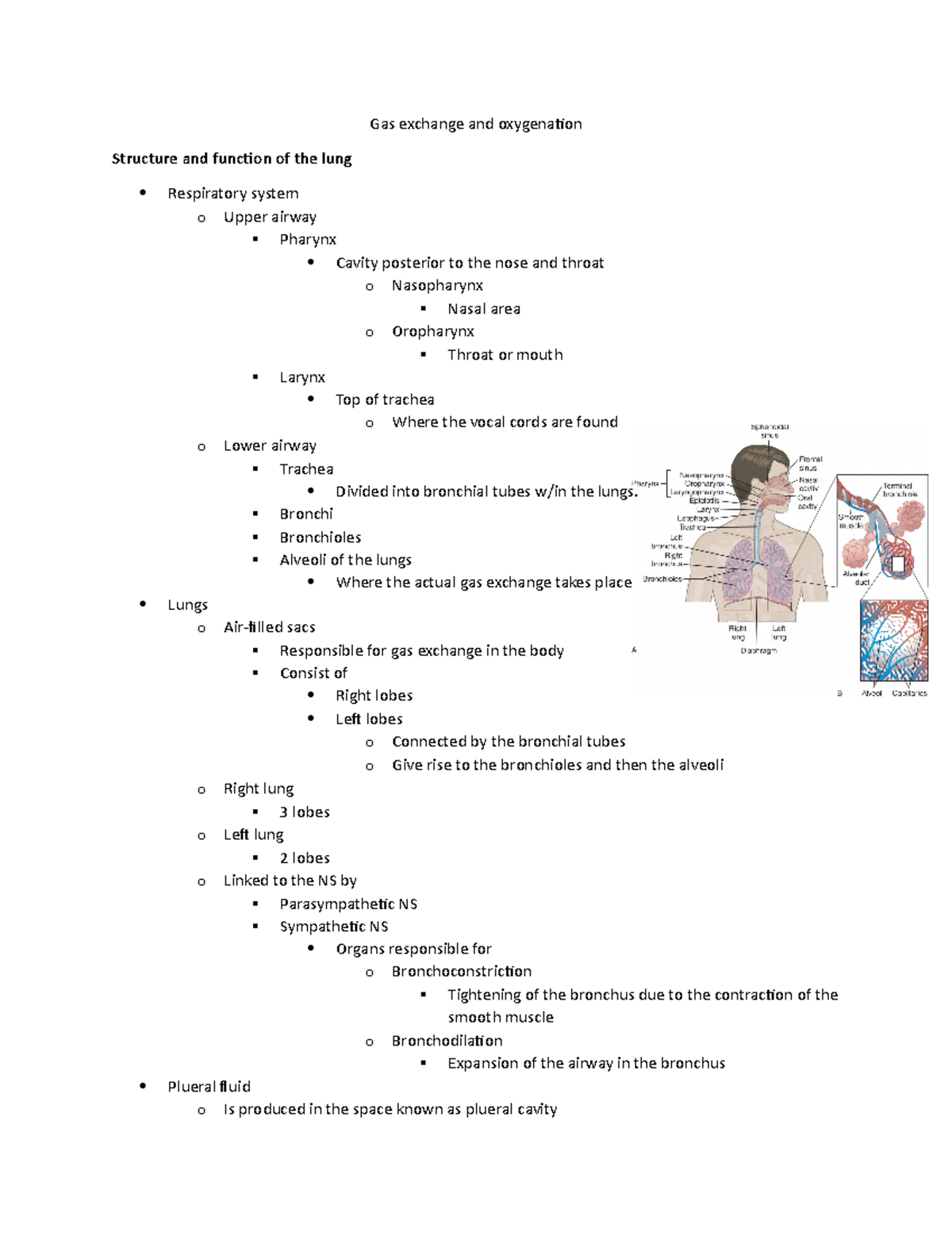 Gas exchange and oxygenation - Gas exchange and oxygenation Structure ...