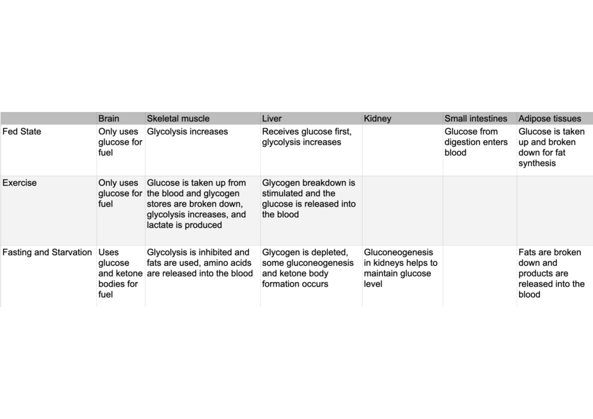 Metabolism table - BIOC0001 - Studocu