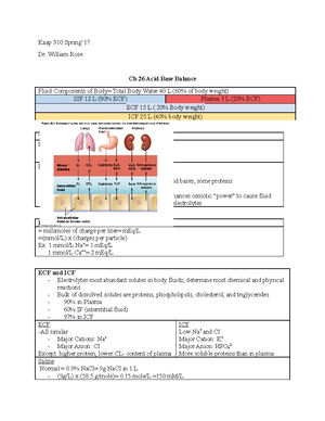 CH 25 Urinary System Objectives - ANATOMY AND PHYSIOLOGY II CHAPTER ...