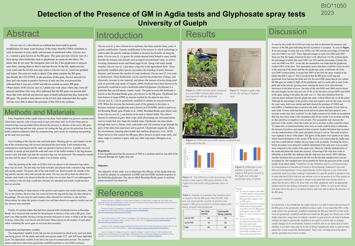 Lab 3- GMO plants - plant lab - Detection of the Presence of GM in ...