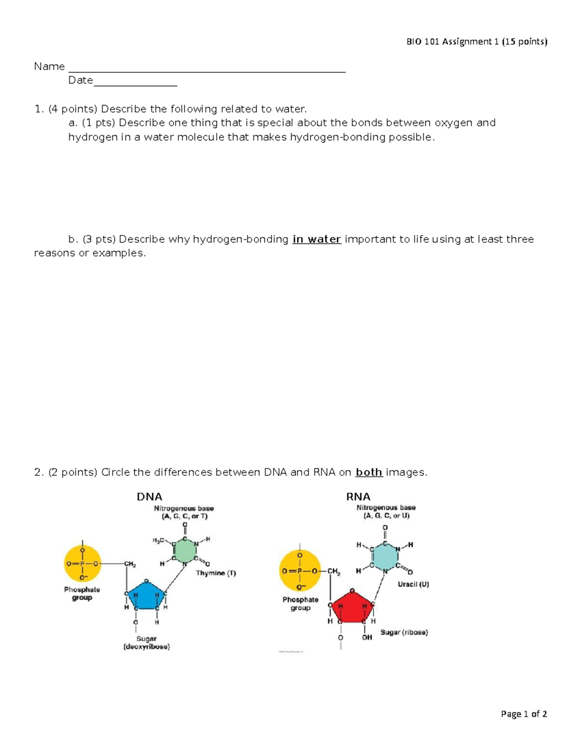 Bio And Non Bio Worksheet