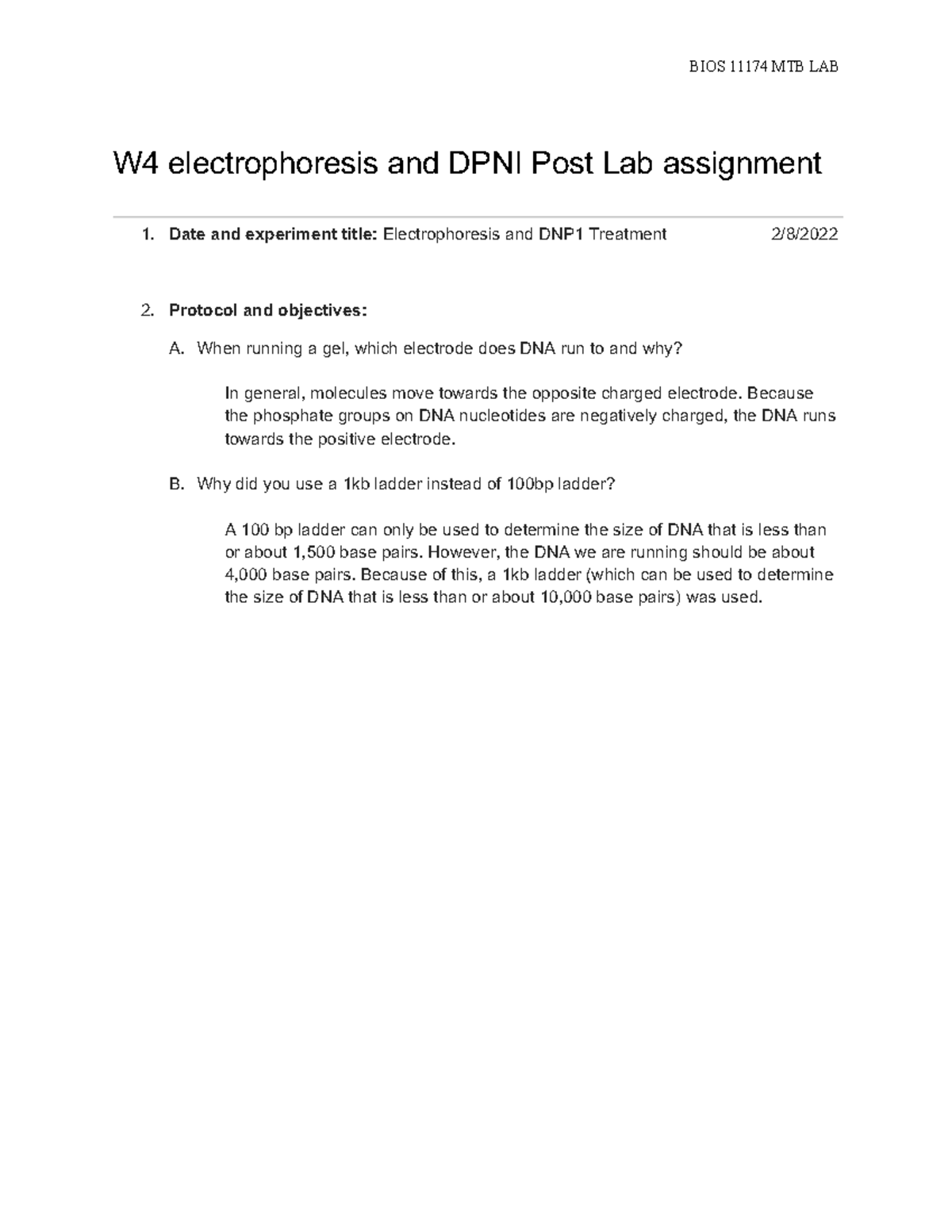 W4 Electrophoresis Post-Lab - W4 electrophoresis and DPNI Post Lab ...