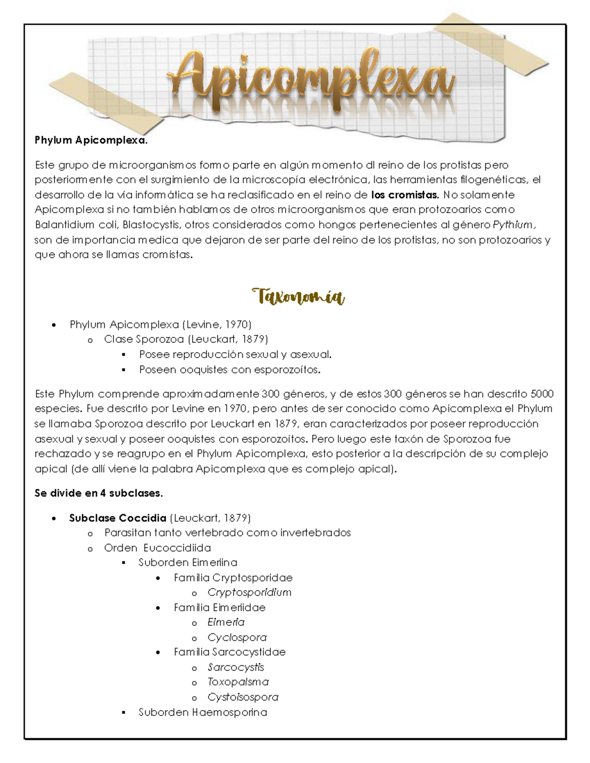 Apicomplexa Y Toxoplasma - Phylum Apicomplexa. Este grupo de ...