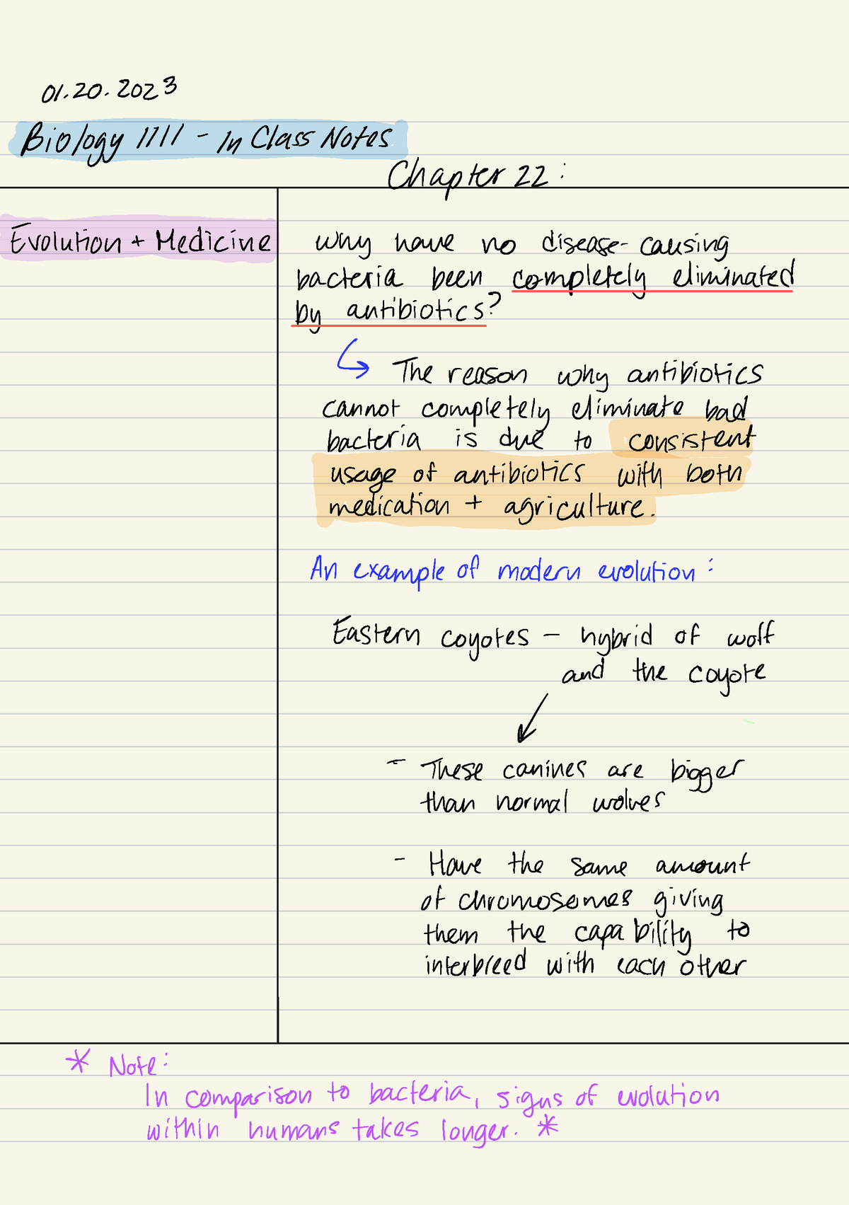 Biology 1111 - Lecture 2 - Biology 1711 - In Class Notes Chapter 22 ...