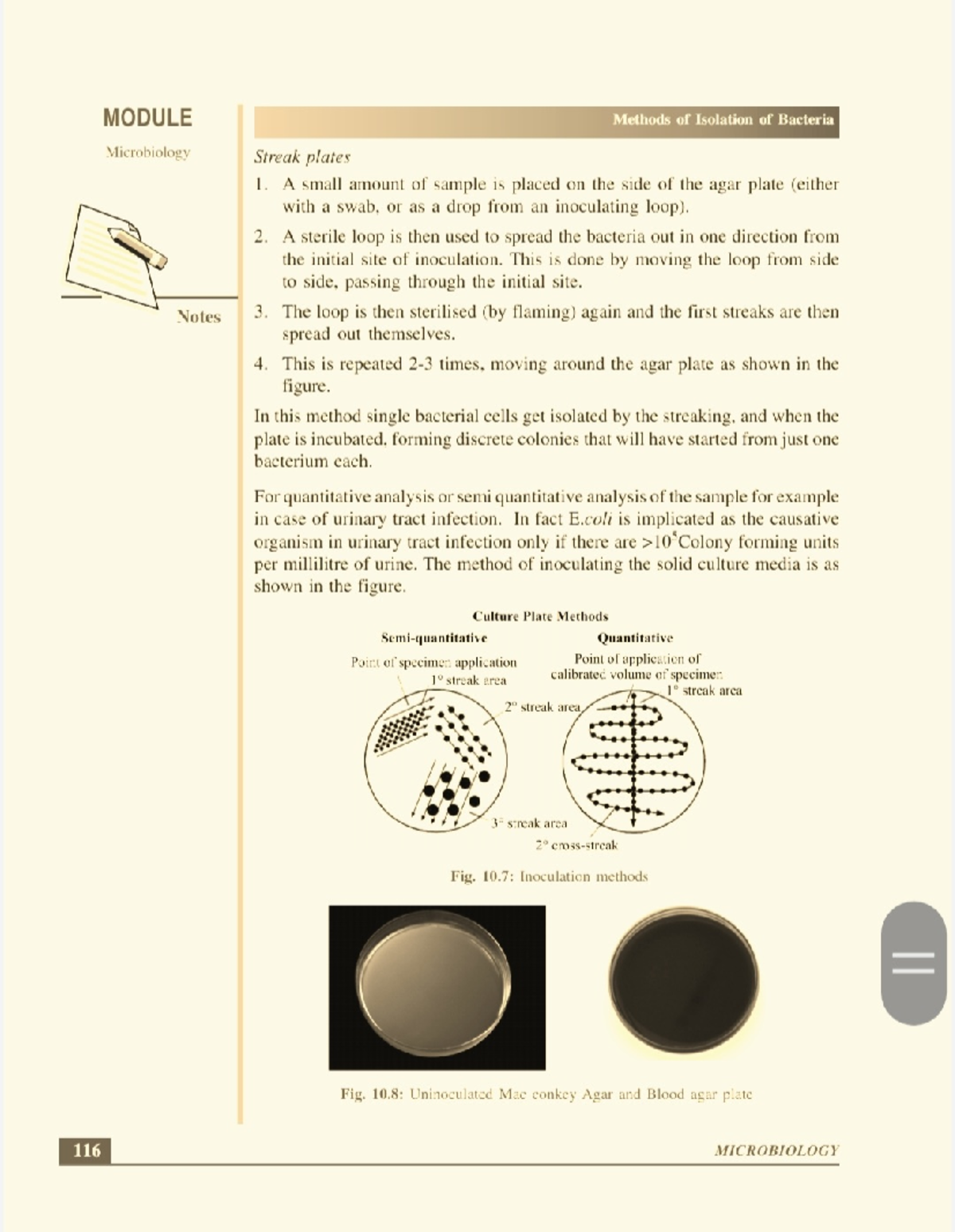 Streak plate preparation Microbiology StuDocu