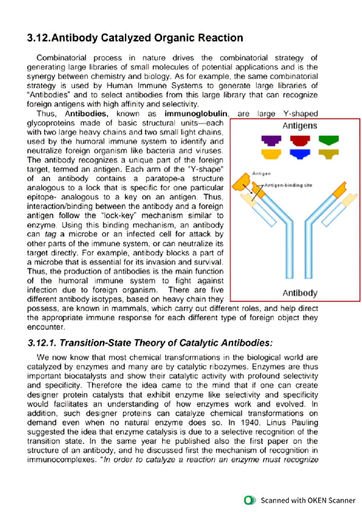 Chemistry 11 Antibody Catalyzed Organic Reactions, Generation of