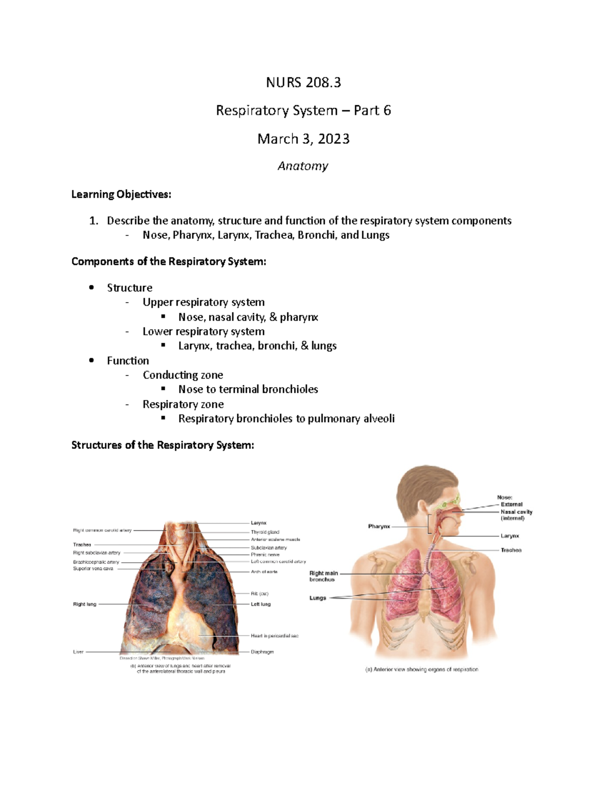 Respiratory System Part 6 - NURS 208. Respiratory System – Part 6 March ...