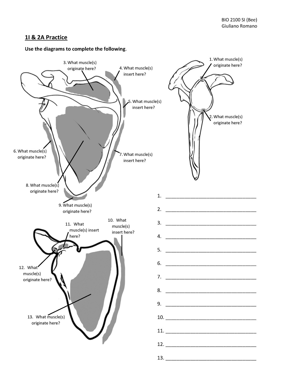 1I2APractice - shoulder - Giuliano Romano 1I & 2A Practice Use the ...