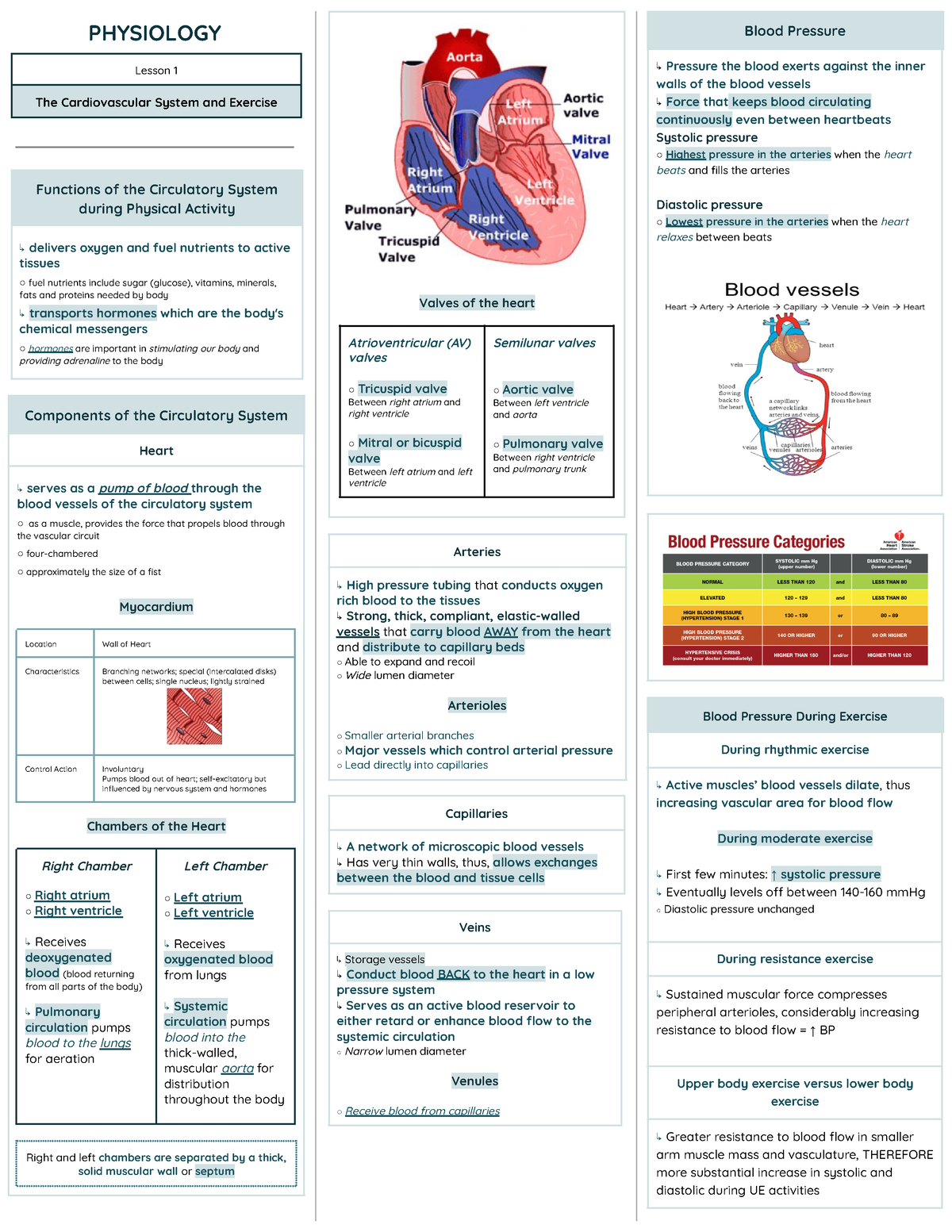 Physiology Reviewer - PHYSIOLOGY Lesson 1 The Cardiovascular System and ...