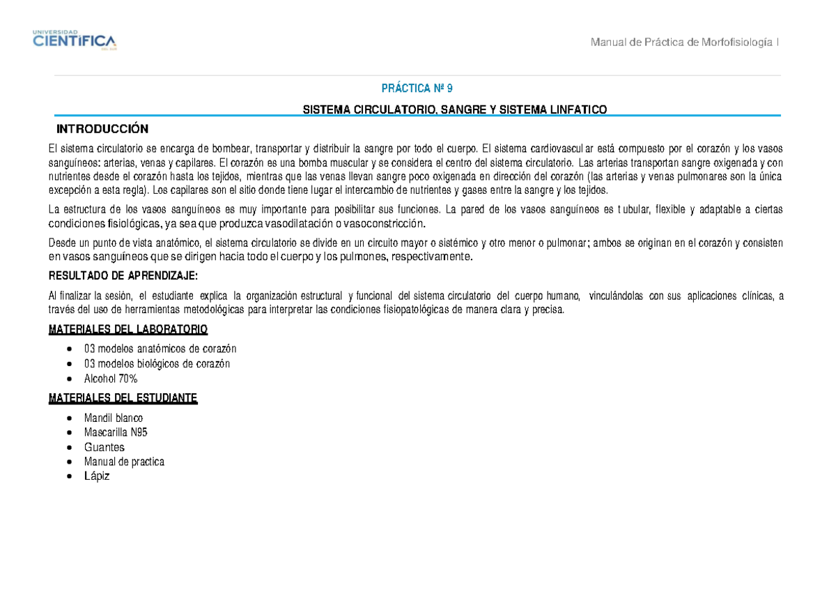Manual Morfofisiologia+I SEM-10 SESI%C3%93N-20 2024-2 - PRÁCTICA Nª 9 ...