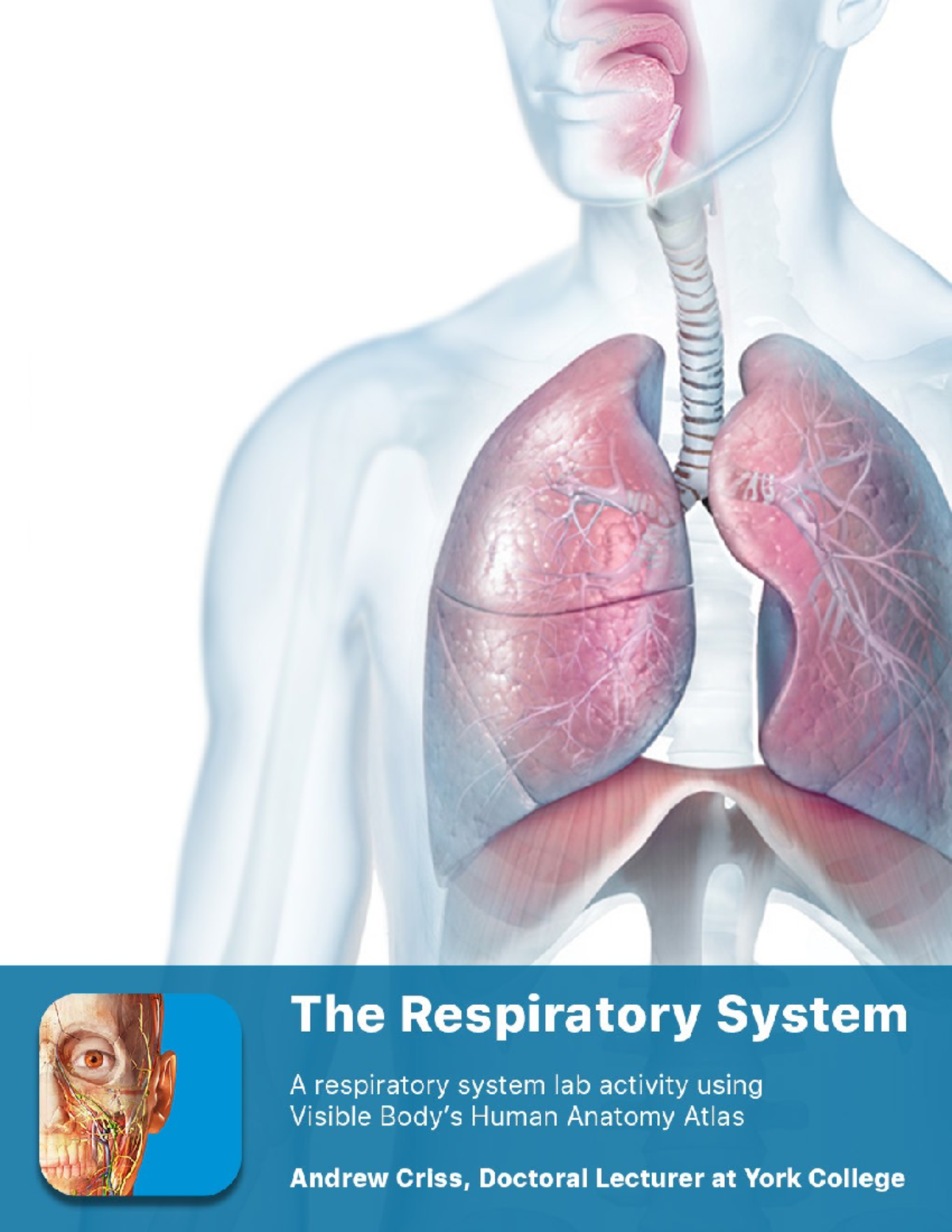 Lab manual respiratory atlas - 2 Nasal cavity Pharynx Larynx PRE-LAB ...