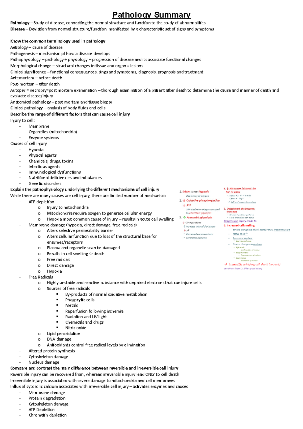 Pathology Summary - Pathology Summary Pathology – Study of disease ...