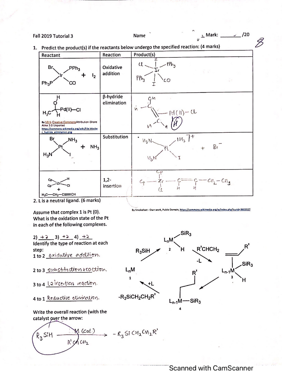 Chem 2330- Tutorial 3 - CHEM 2330 - Studocu