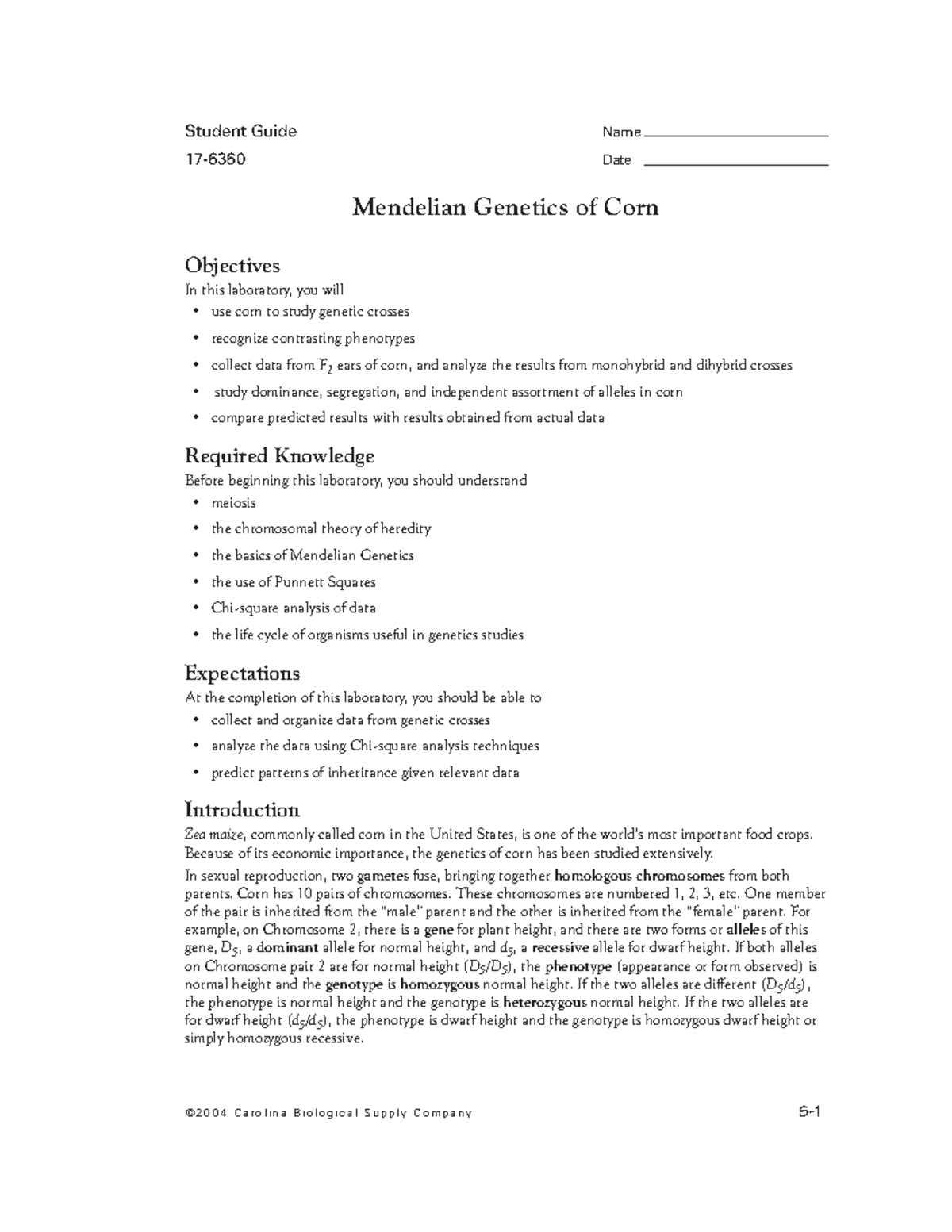 Student Handout- Carolina Scientific Mendelian Genetics of Corn - BSC ...