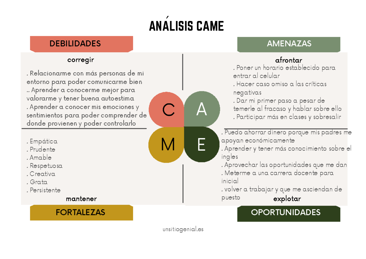An lisis De Came SENLO CON CUIDADO A ANALISIS CAME DEBILIDADES 