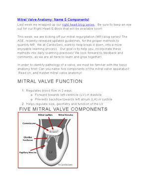 Introduction to Right Heart Assessment - Introduction to Right Heart ...