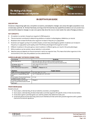 Comprehensive Review Packet Virtual - Comprehensive Review Packet What ...