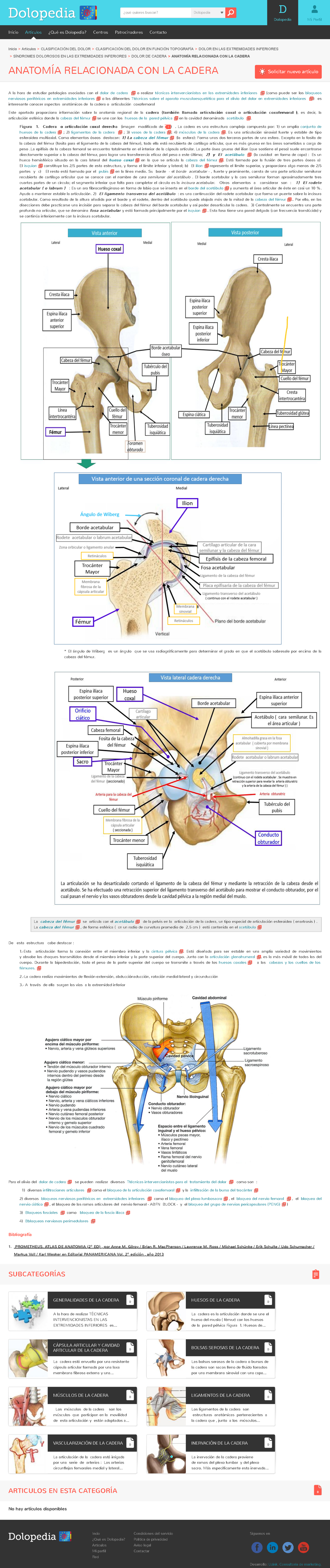 Anatomía Relacionada con la cadera - ¿qué quieres buscar?! Dolopedia "  Mi Perfil Dolopedia - Studocu