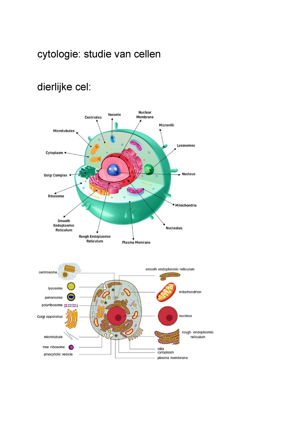 Cytologie Samenvatting Biologie Morfologie Van De Zaadplant