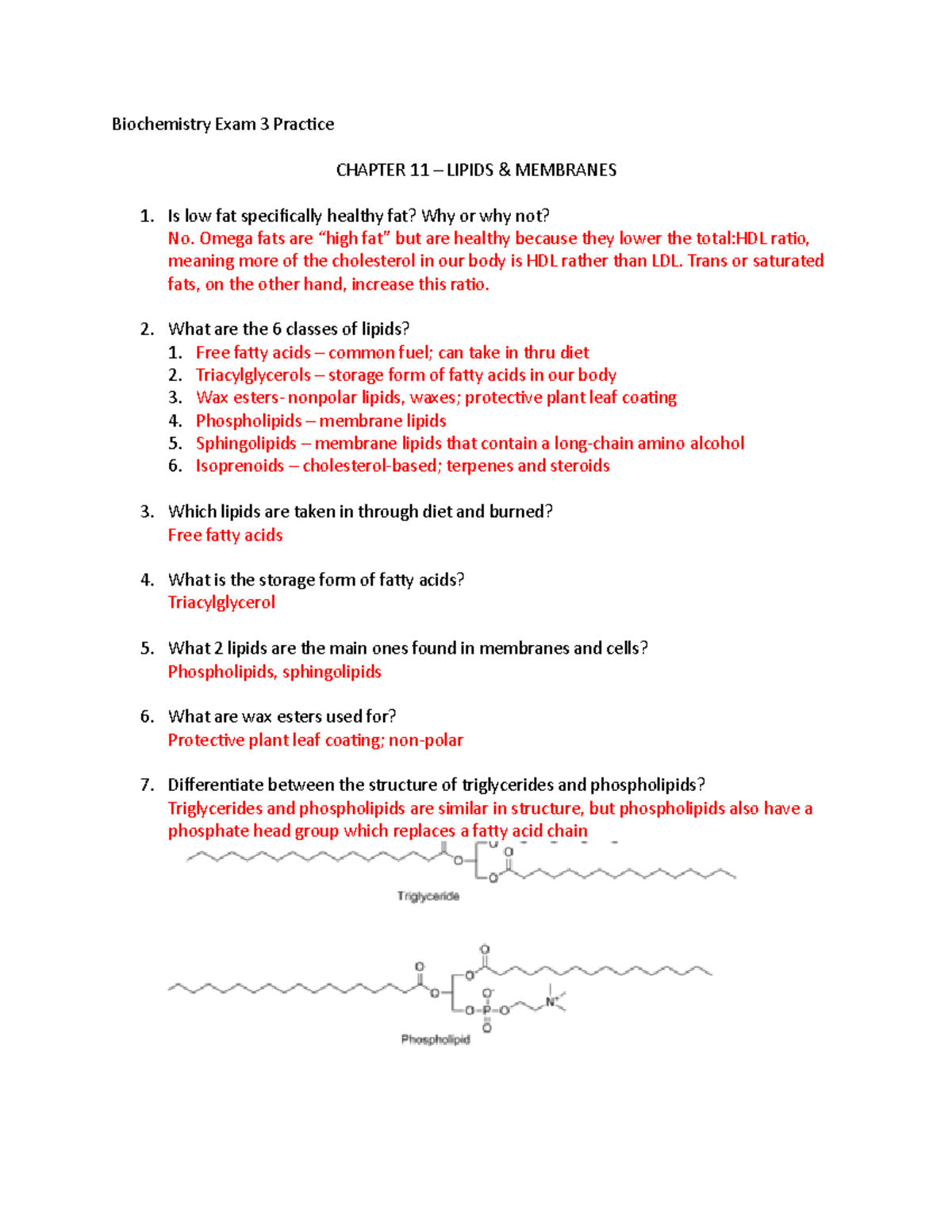 Biochem Ch 11 Exam 3 Exam 3 content summary for Dr. Beck