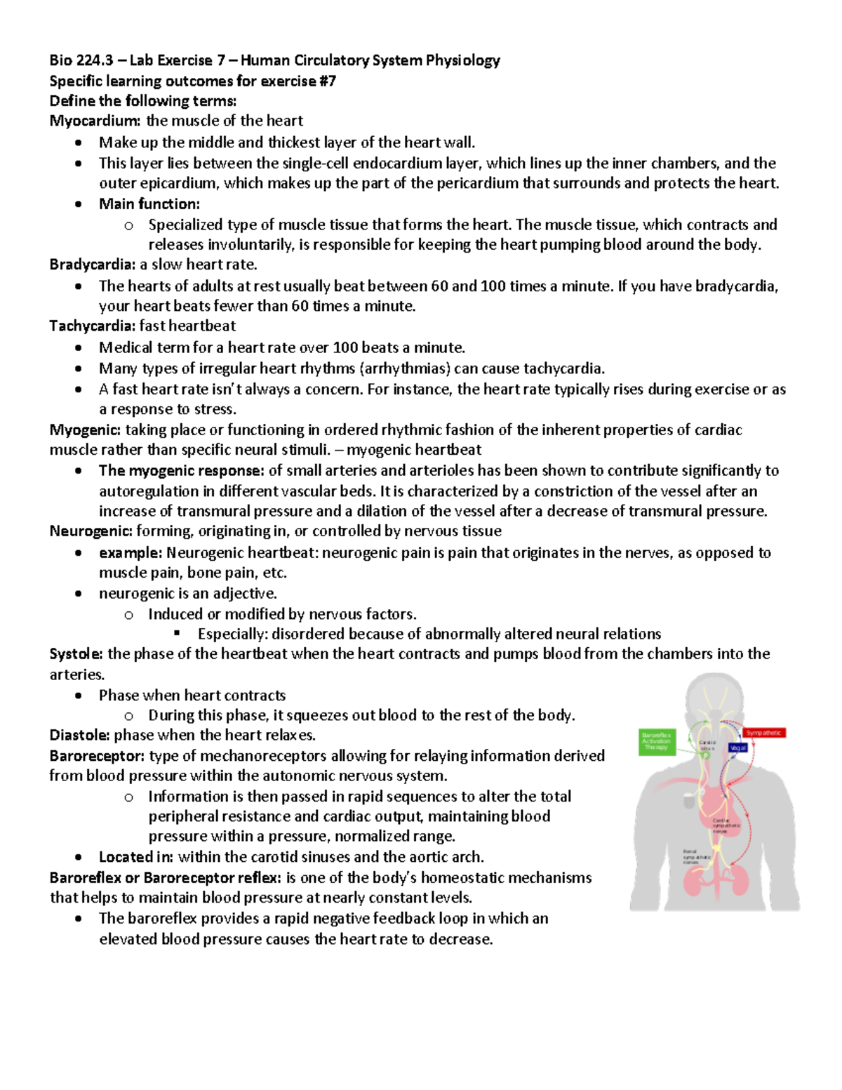 Bio Lab 7 - Animal Body Systems - Bio 224 – Lab Exercise 7 – Human 