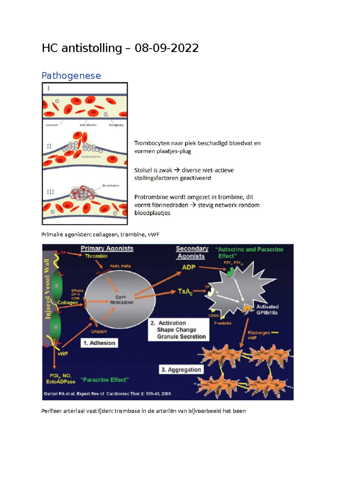 HC antistolling Vitamine K antagonisten remmen 9, 10, 2 en 7