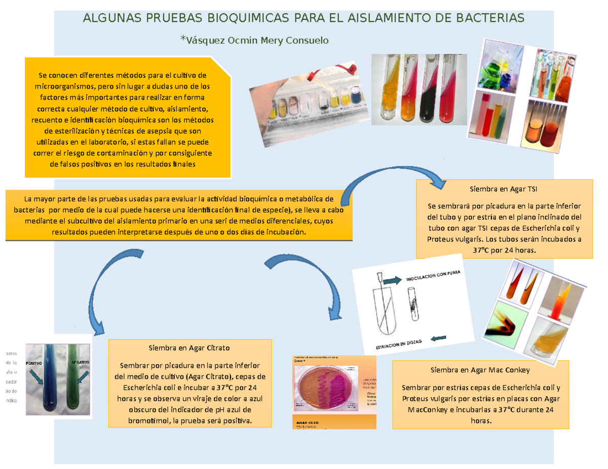 Practica 5 ONFO - ALGUNAS PRUEBAS BIOQUIMICAS PARA EL AISLAMIENTO DE