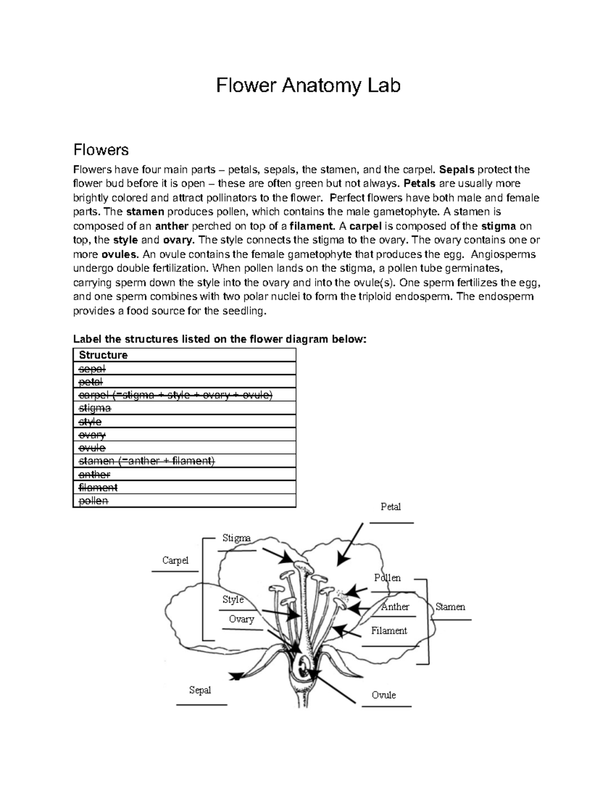 Flower Anatomy Sp2023 - Flower Anatomy Lab Flowers Flowers have four ...