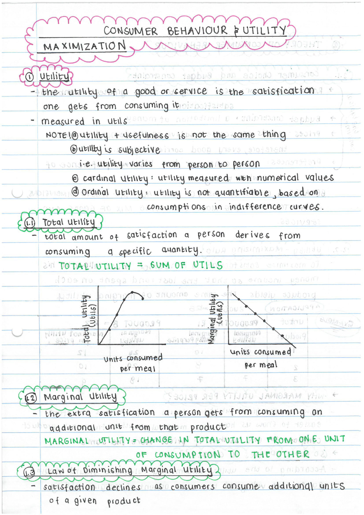 Consumer Behaviour and Utility Maximization - Summary - EKN 110 - Studocu