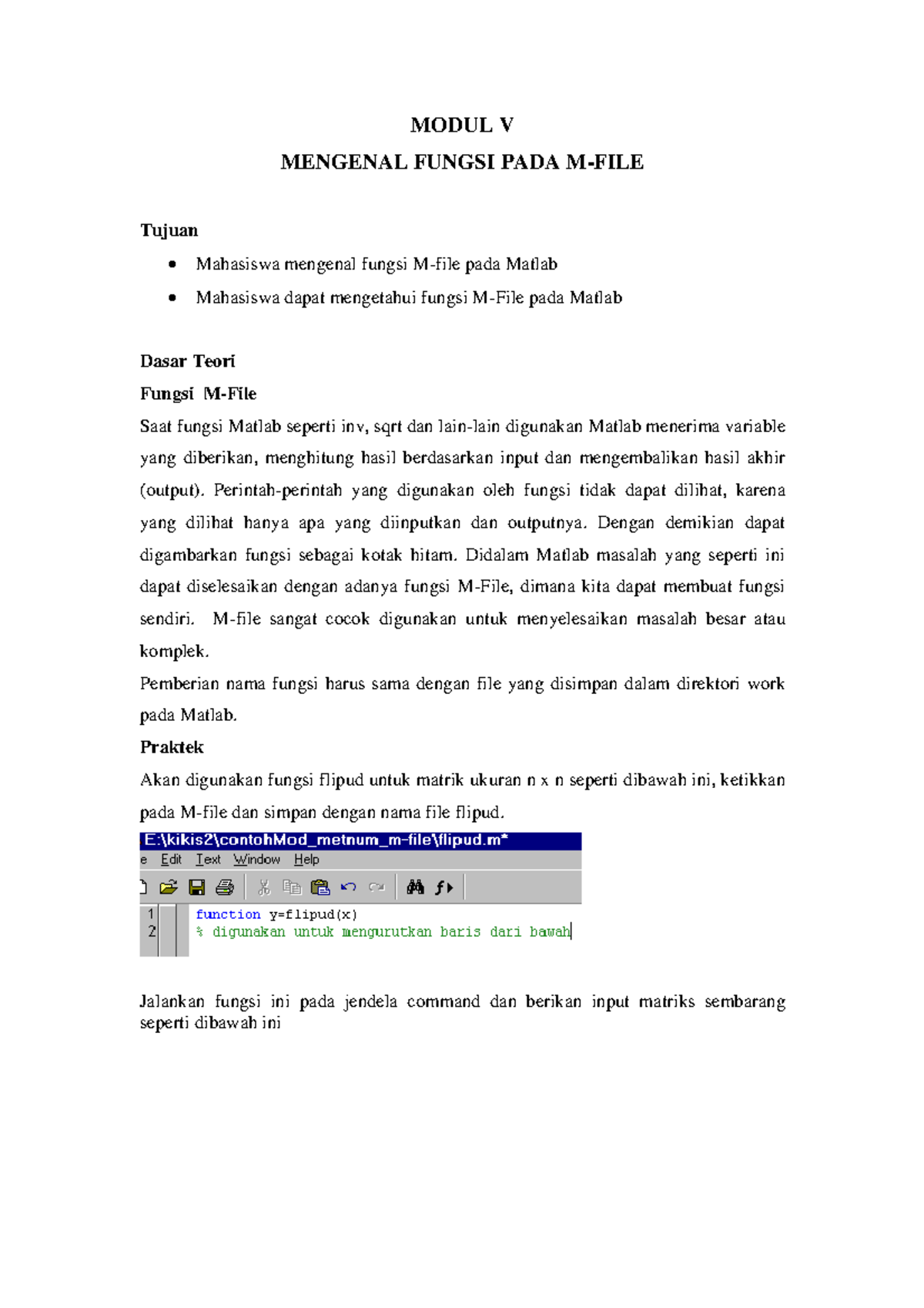 Mfile Mfile MODUL V MENGENAL FUNGSI PADA MFILE Tujuan