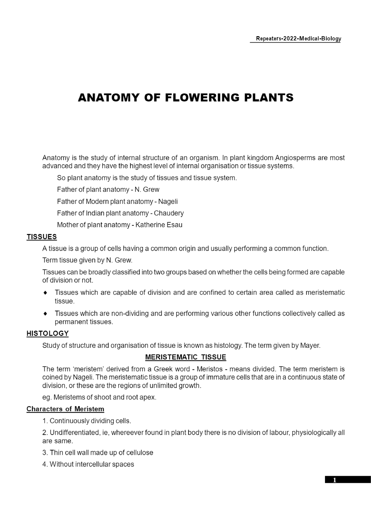 anatomy-in-plants-class-assesment-studocu